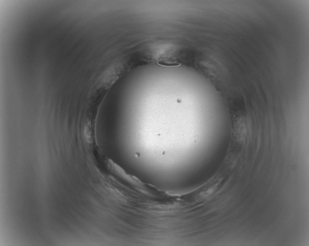 X0000066960571200603311426