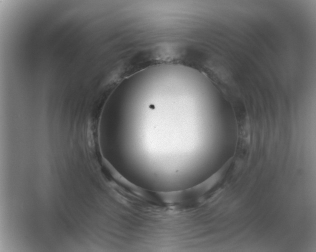 X0000066960572200603311426