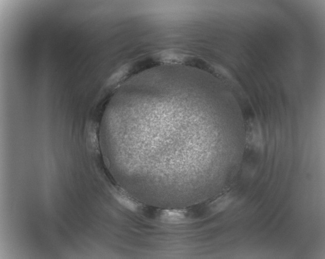 X0000066960573200603311426