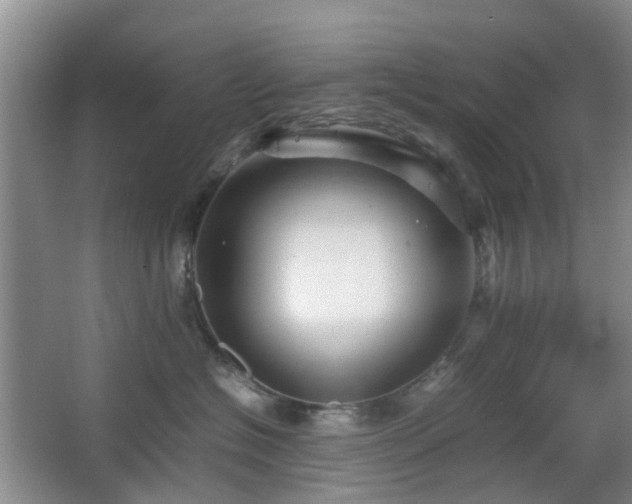 X0000066960574200603311426