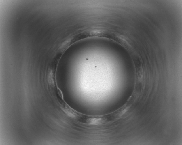 X0000066960575200603311426