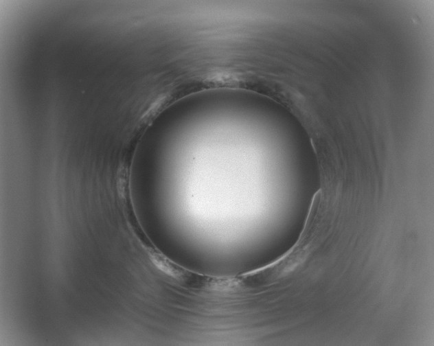 X0000066960576200603311426