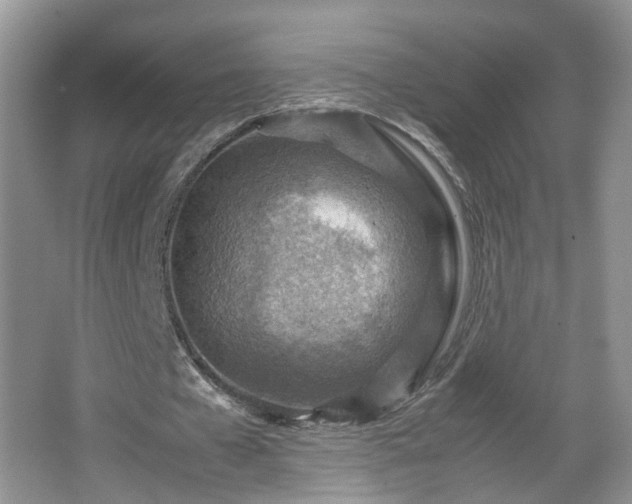 X0000066960577200603311425