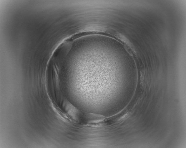 X0000066960580200603311425