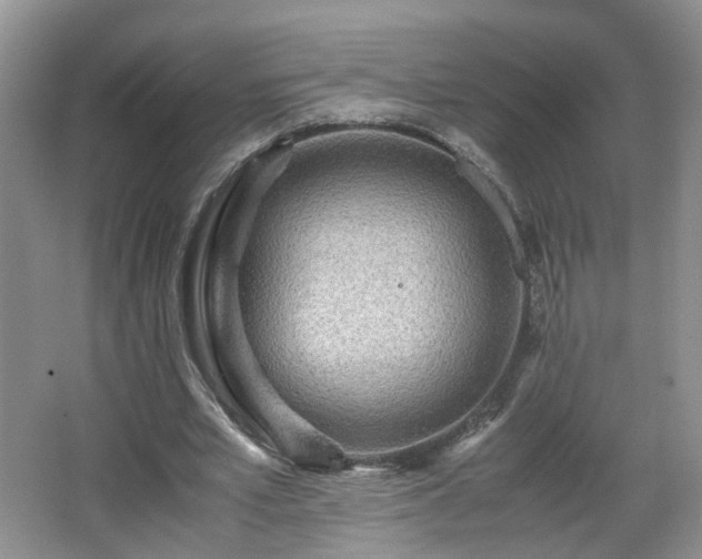 X0000066960581200603311425