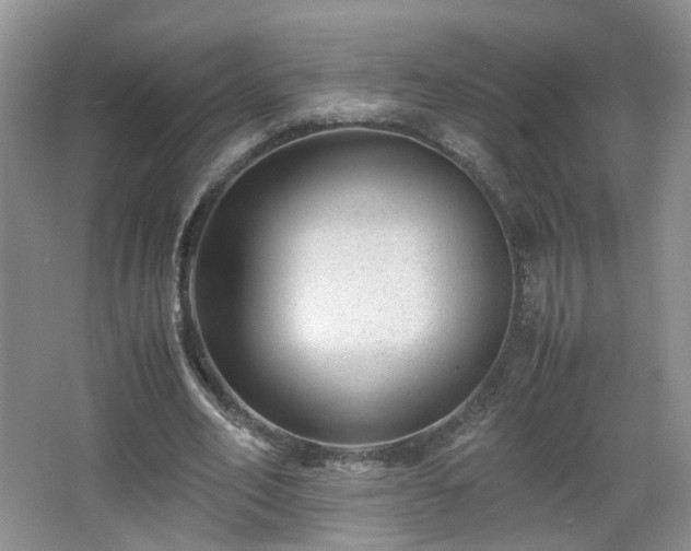 X0000066960582200603311425