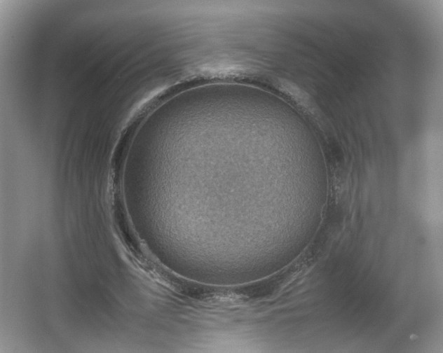 X0000066960583200603311425