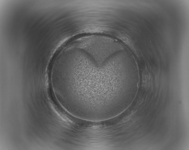 X0000066960584200603311425