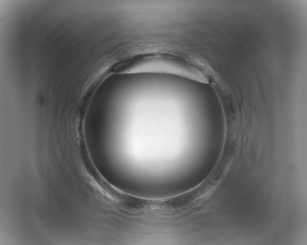 X0000066960585200603311425