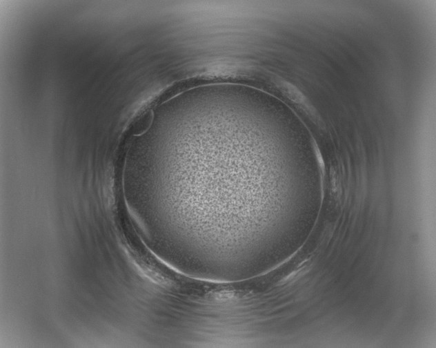 X0000066960588200603311425