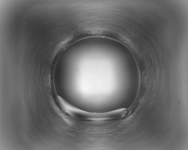 X0000066960589200603311425