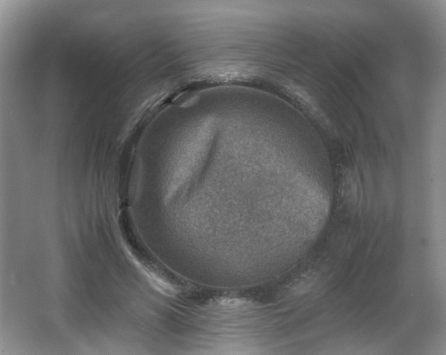 X0000066960590200603311425