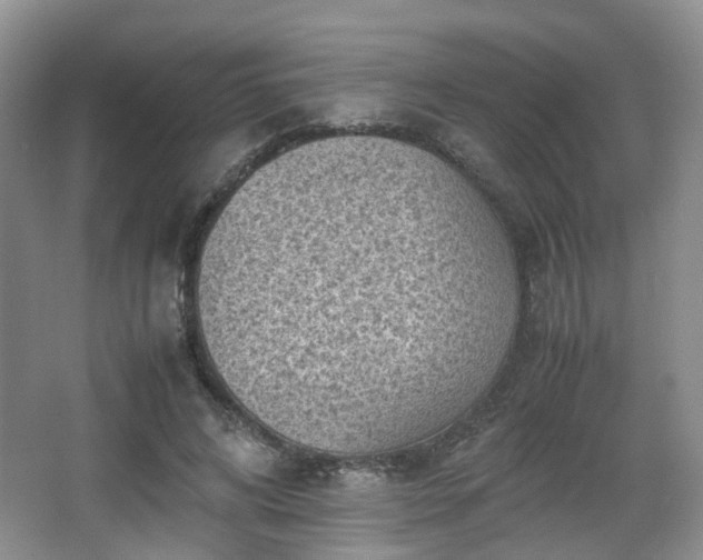 X0000066960592200603311425