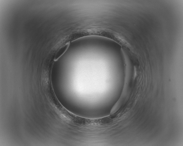 X0000066960593200603311425