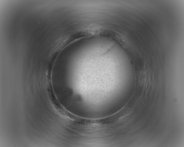 X0000066960594200603311425