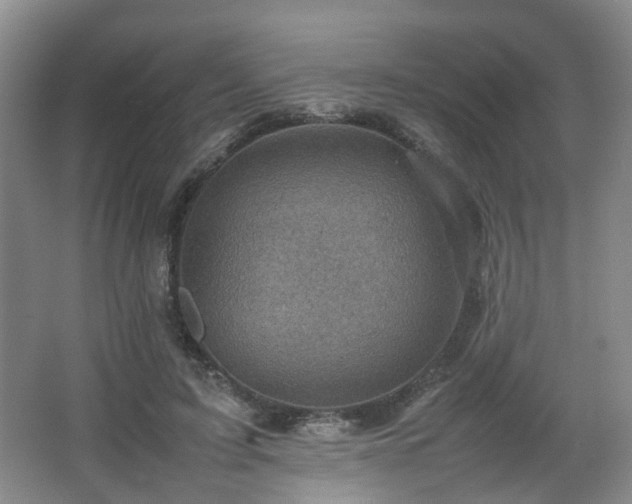 X0000066960595200603311425