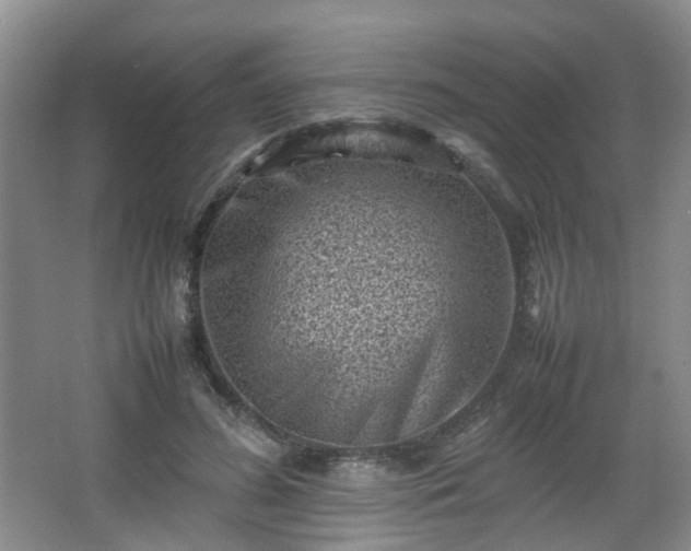 X0000066960596200603311425