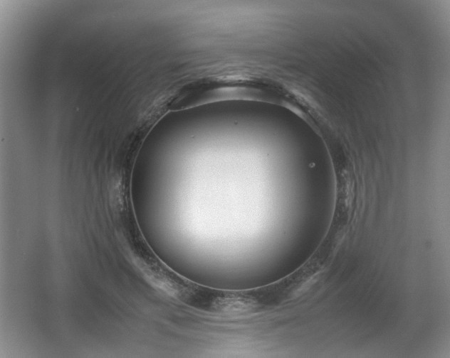 X0000066960597200603311425