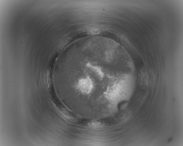 X0000066960598200603311425