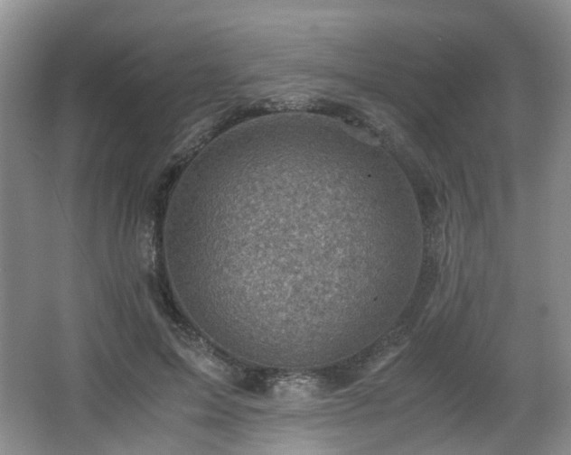 X0000066960599200603311425