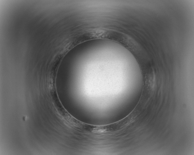 X0000066960602200603311425