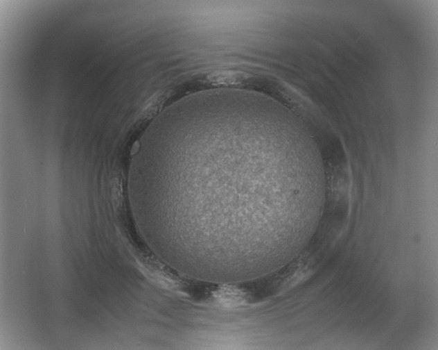 X0000066960603200603311425