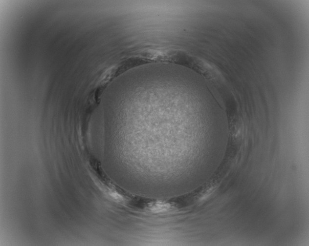 X0000066960607200603311425