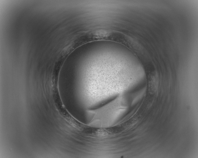 X0000066960608200603311425