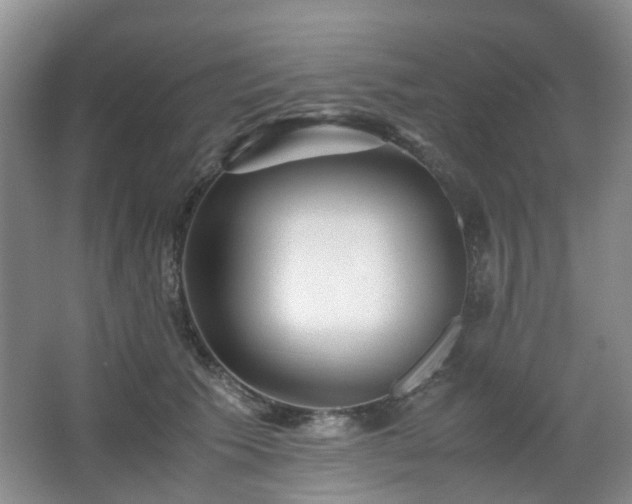 X0000066960609200603311425