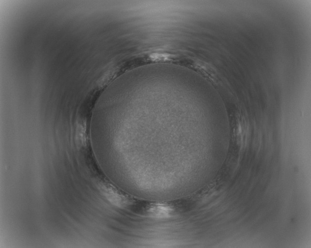 X0000066960610200603311425