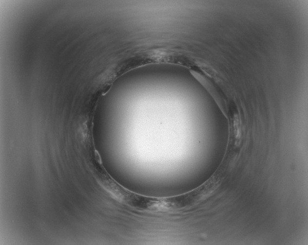 X0000066960611200603311425