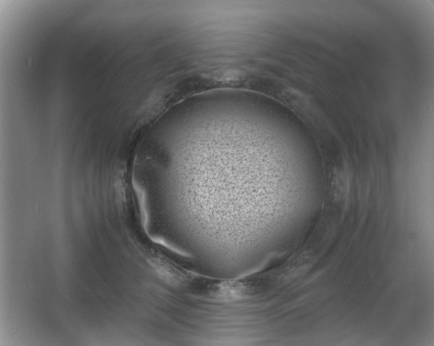 X0000066960612200603311425