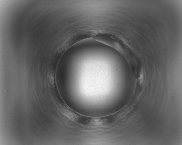 X0000066960613200603311425