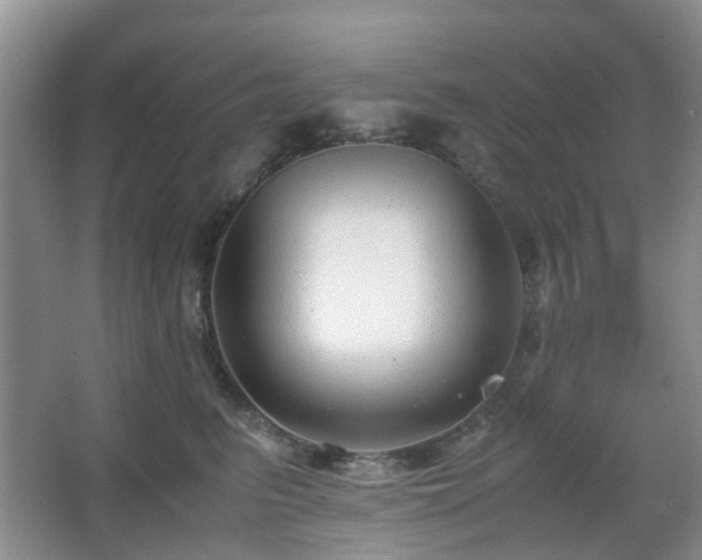 X0000066960615200603311425