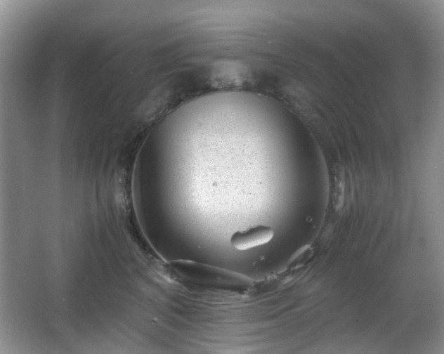 X0000066960616200603311425