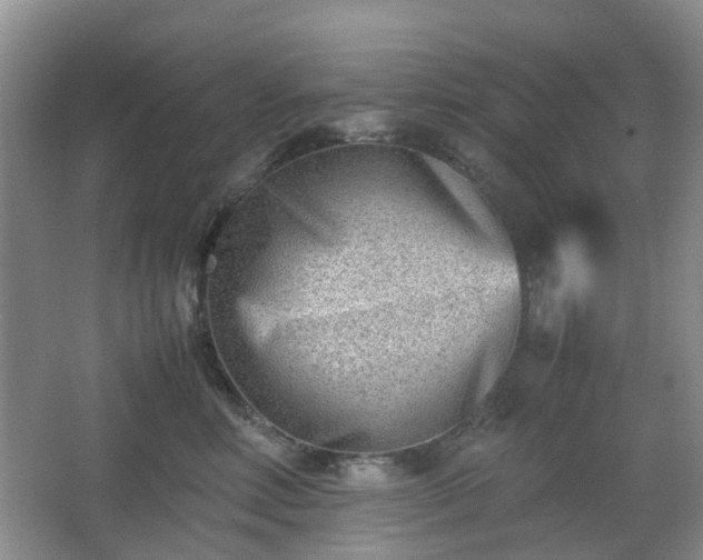 X0000066960618200603311425