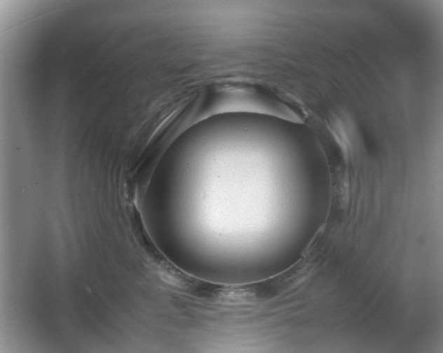 X0000066960619200603311425