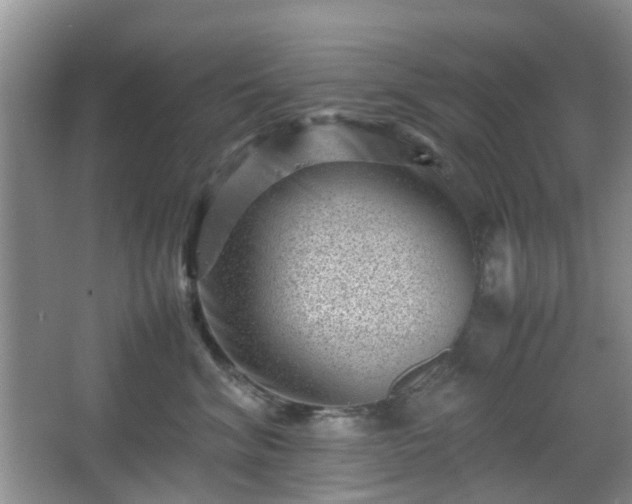 X0000066960620200603311425