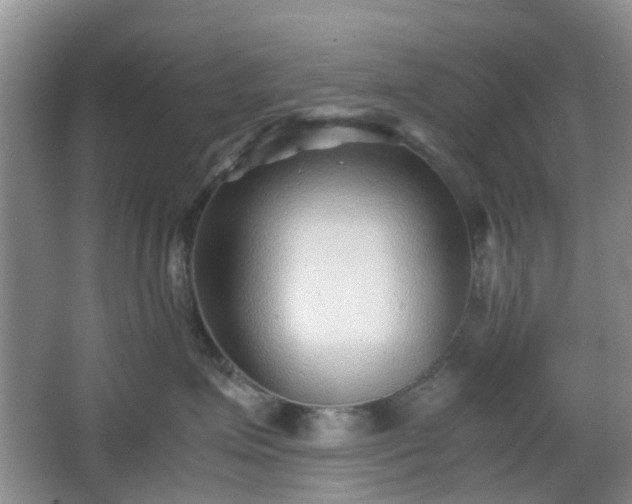 X0000066960623200603311425