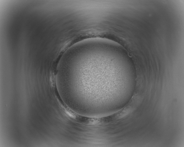 X0000066960624200603311425