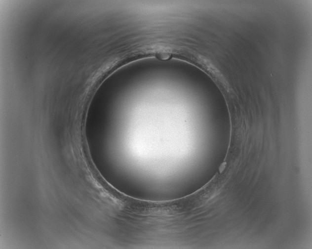 X0000066960625200603311424