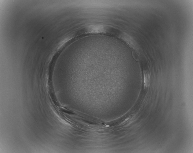 X0000066960627200603311424