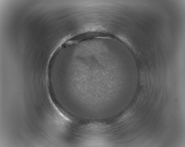 X0000066960630200603311424