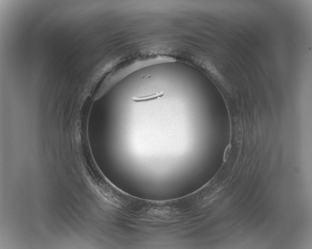 X0000066960631200603311424