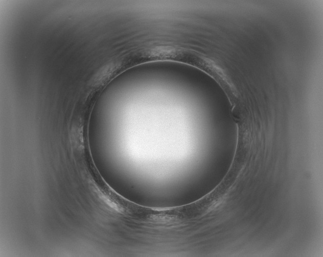 X0000066960633200603311424