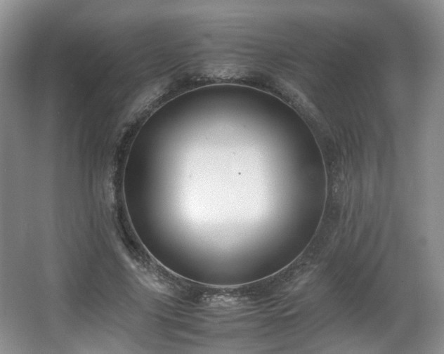 X0000066960635200603311424