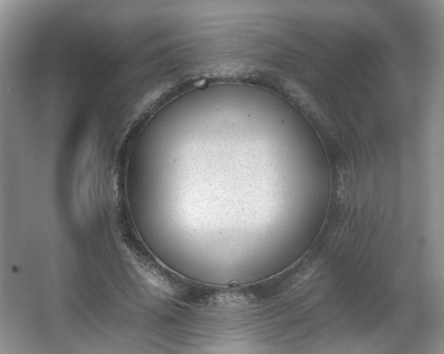 X0000066960636200603311424