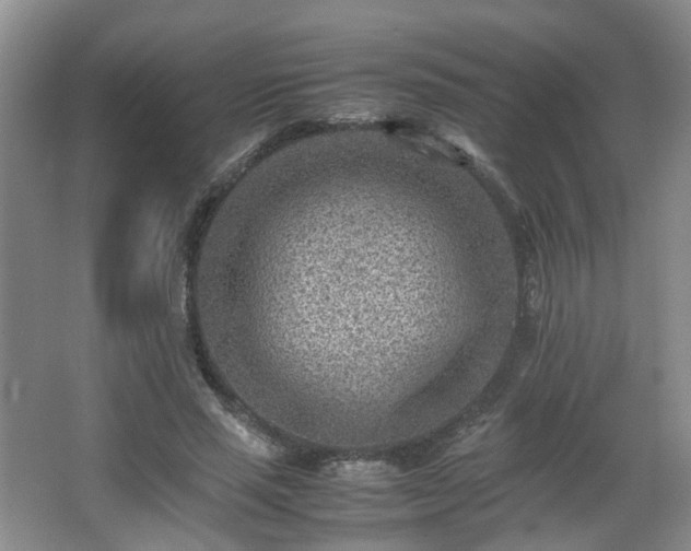 X0000066960637200603311424