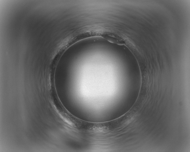 X0000066960638200603311424