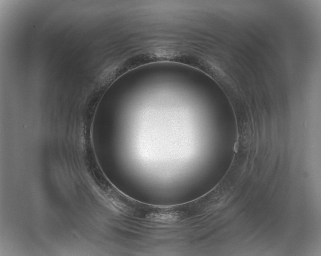 X0000066960639200603311424